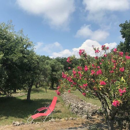 Villa Du Sud Vence Exterior foto